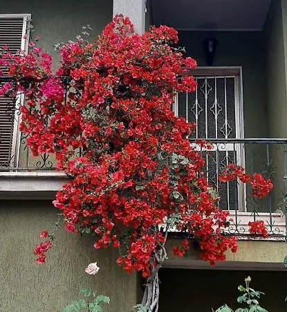 Sa Prenda E Oro 게스트하우스