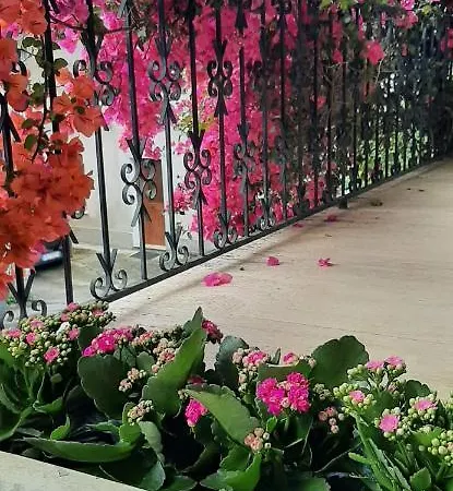 게스트하우스 Sa Prenda E Oro