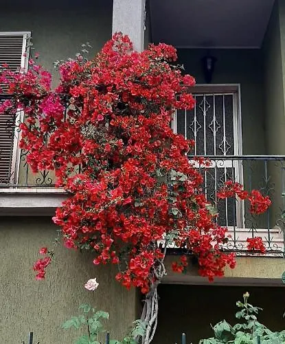 Sa Prenda E Oro Penzion