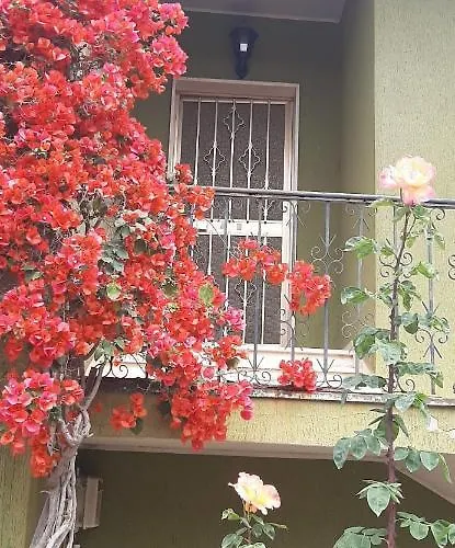 Sa Prenda E Oro 3* Ula Tirso