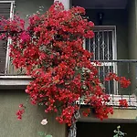 Sa Prenda E Oro Maison d'hôtes